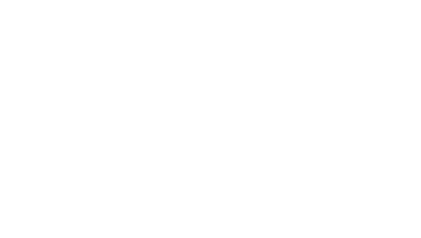 Feature 8