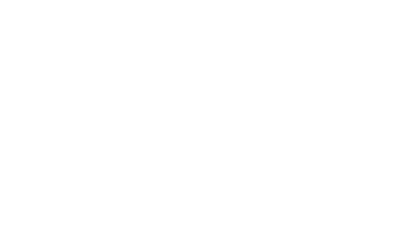 Feature 5