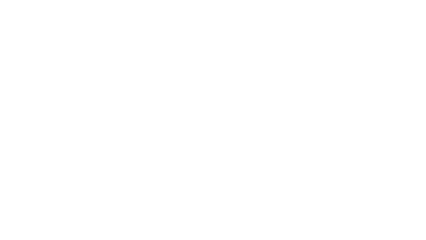 Feature 6