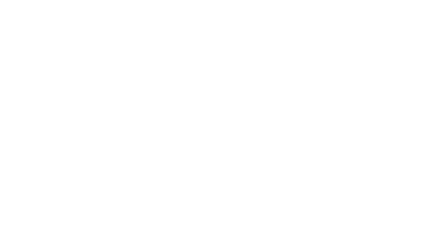 Fast Data Reading & Fake Detection