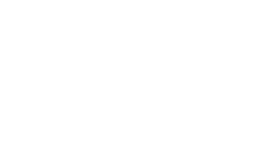 Multi-Lane Detection