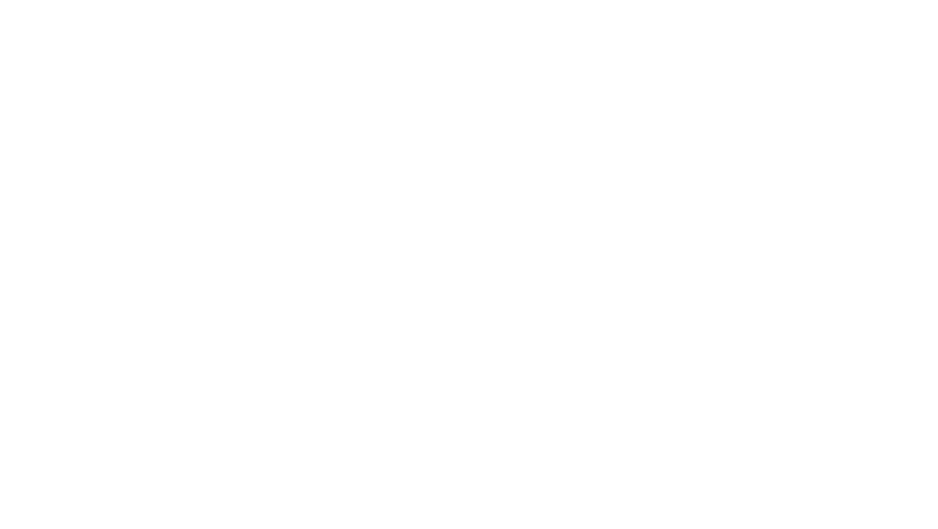 Dual Camera System