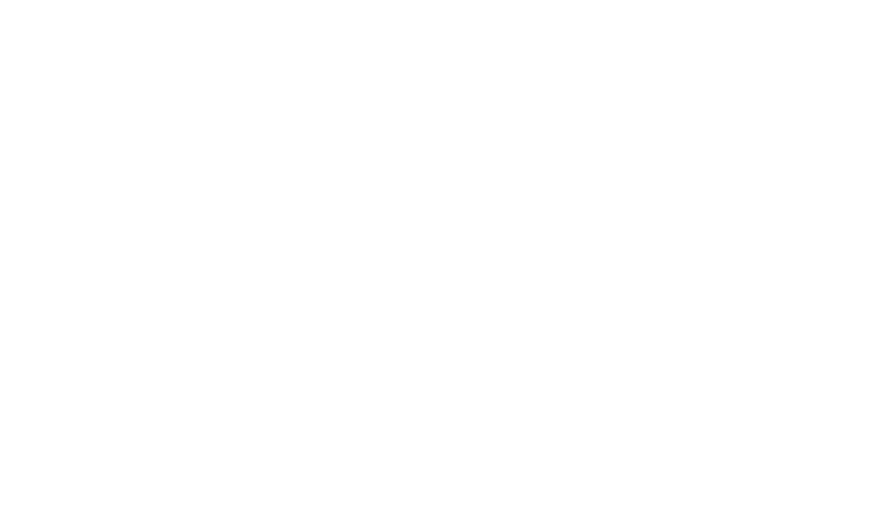 Feature 3